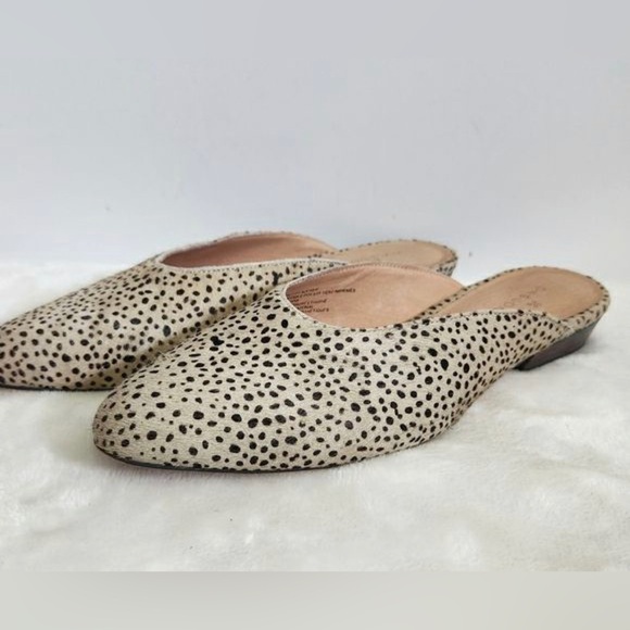 Caslon Callie Suede Mules - Picture 1 of 3